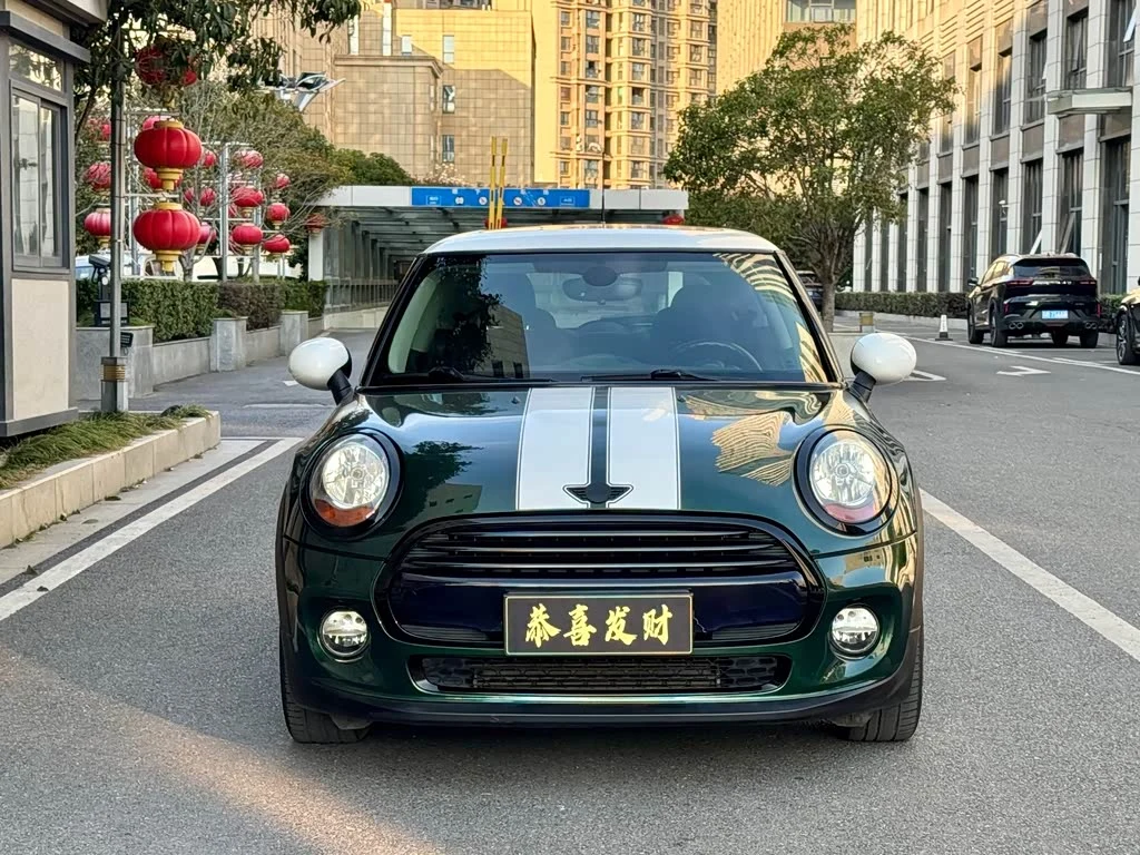 Mini Mini