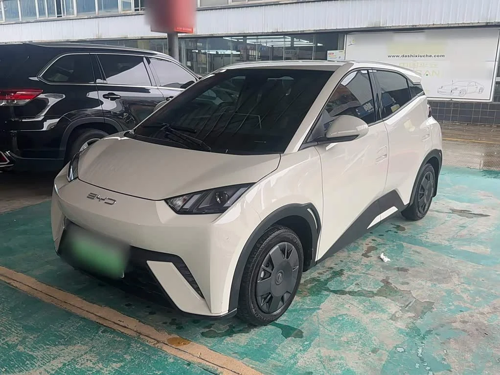 BYD Seagull