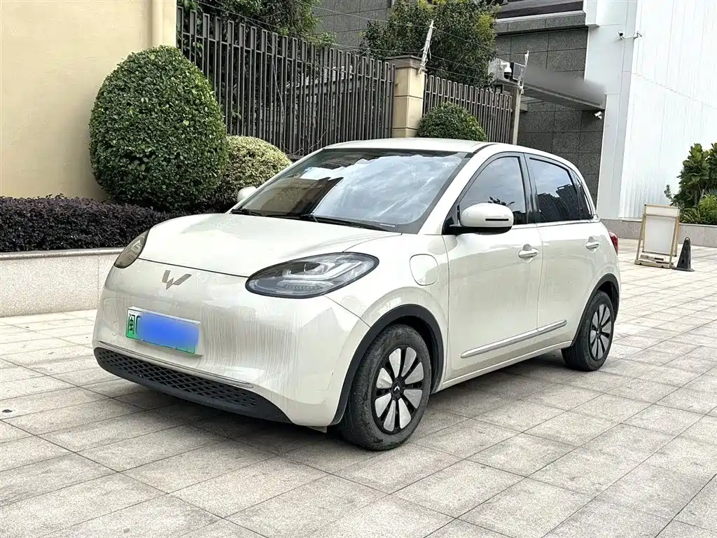 Wuling Binguo