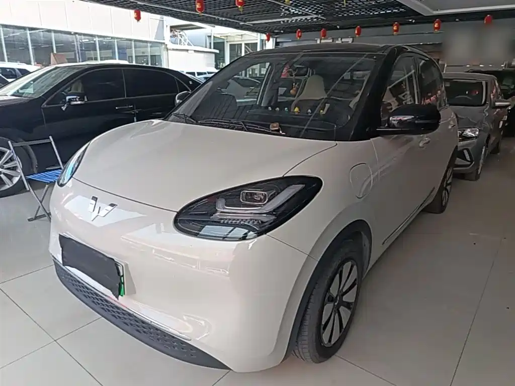 Wuling Binguo