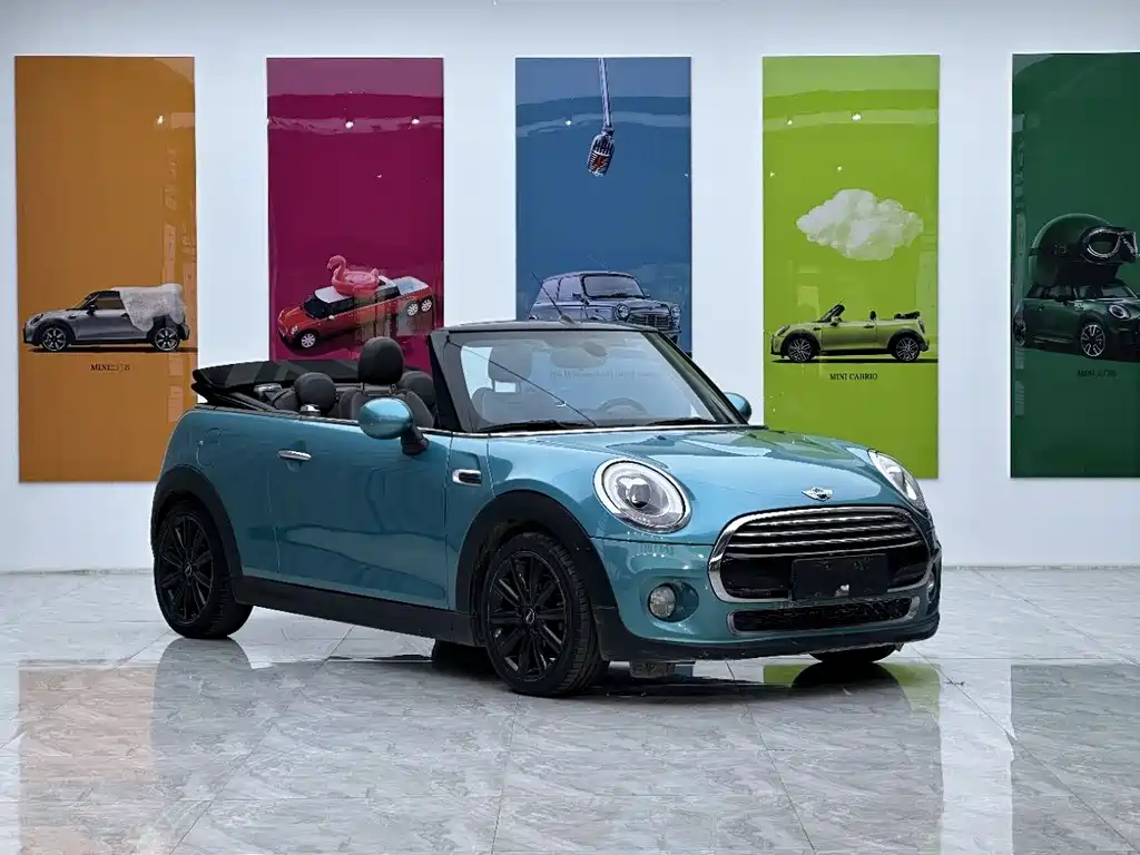 Mini Mini