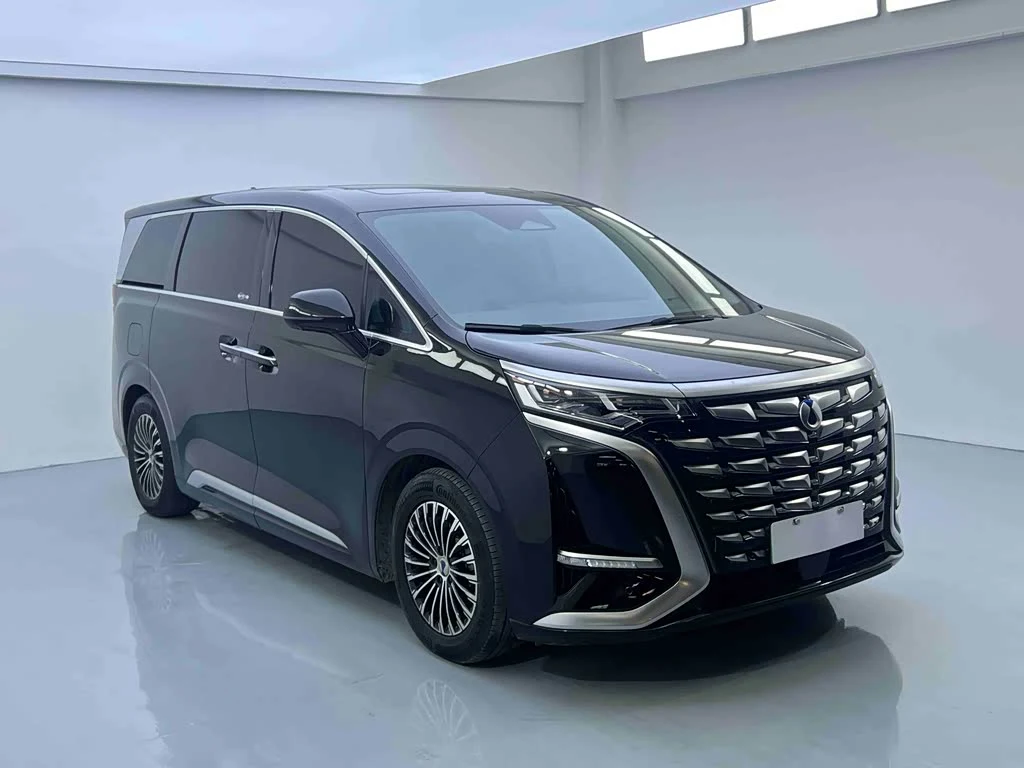 Denza D9