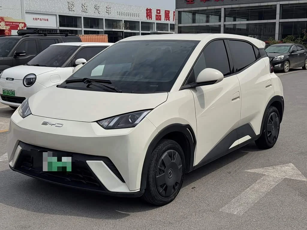 BYD Seagull