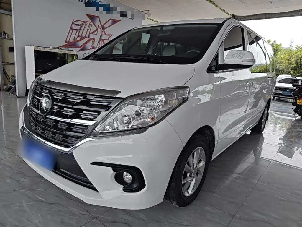 Forthing Lingzhi Plus