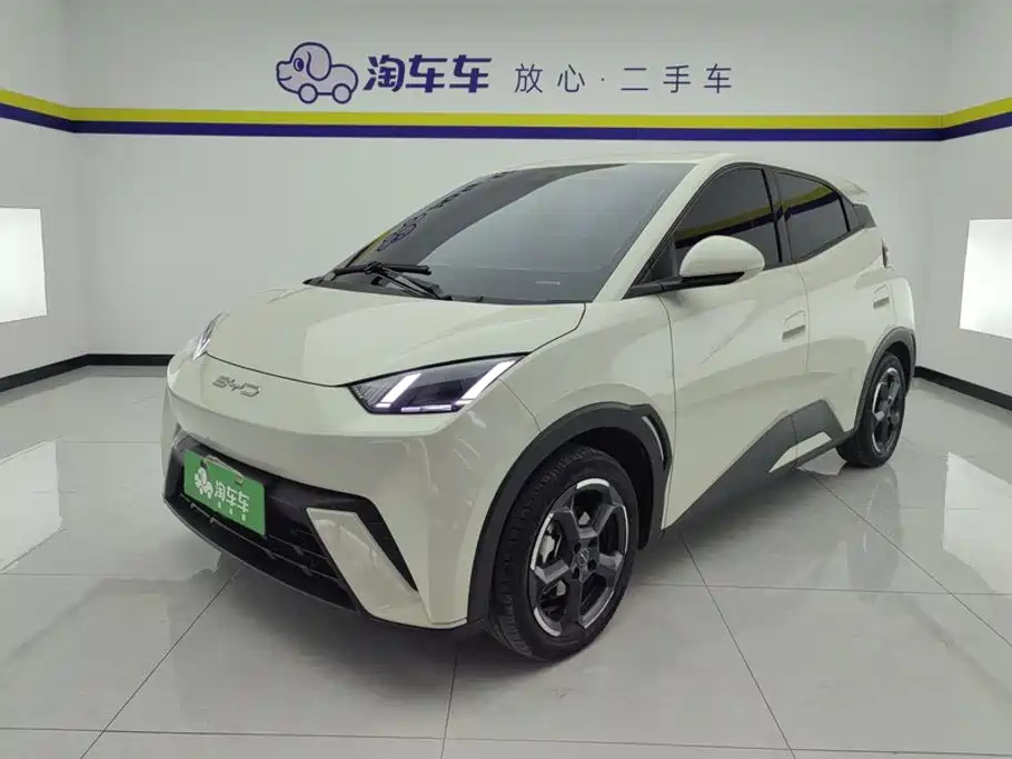 BYD Seagull