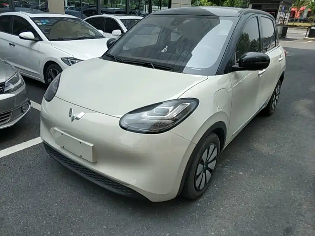 Wuling Binguo