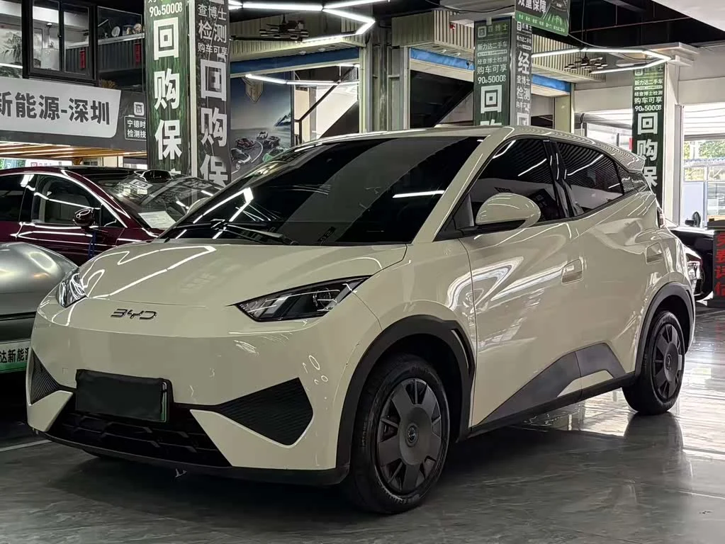 BYD Seagull