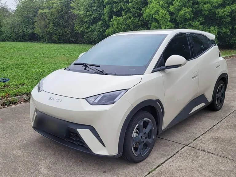 BYD Seagull