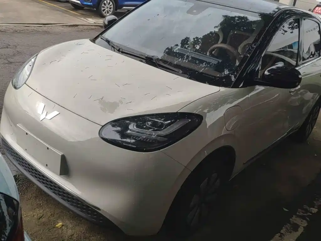 Wuling Binguo