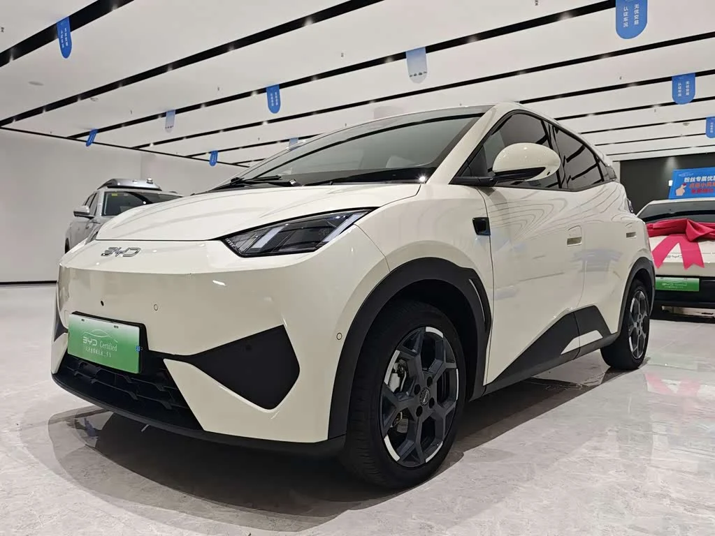BYD Seagull