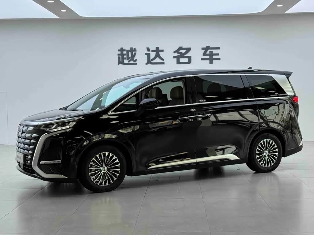 Denza D9
