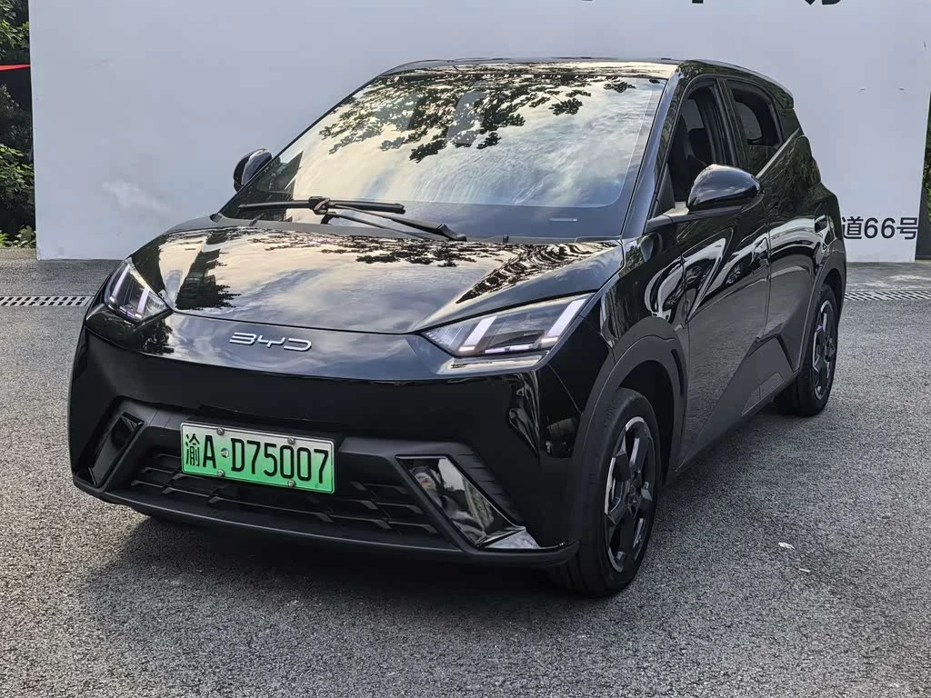 BYD Seagull