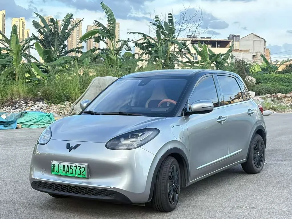 Wuling Binguo