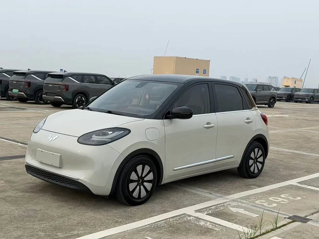 Wuling Binguo