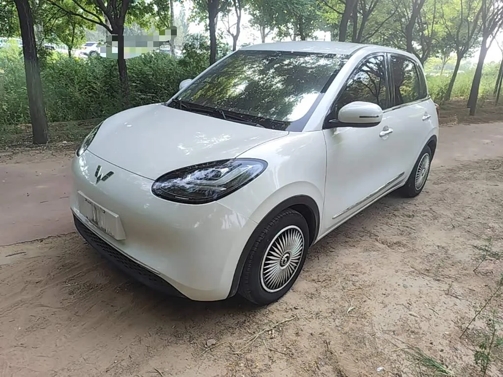 Wuling Binguo