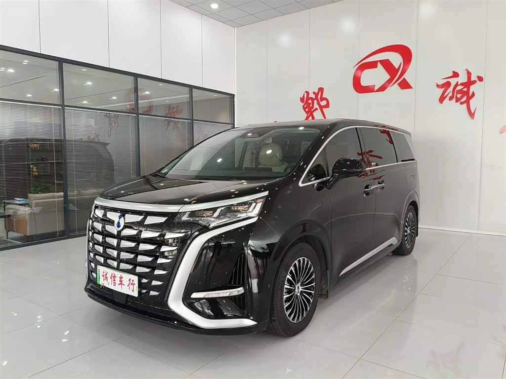 Denza D9
