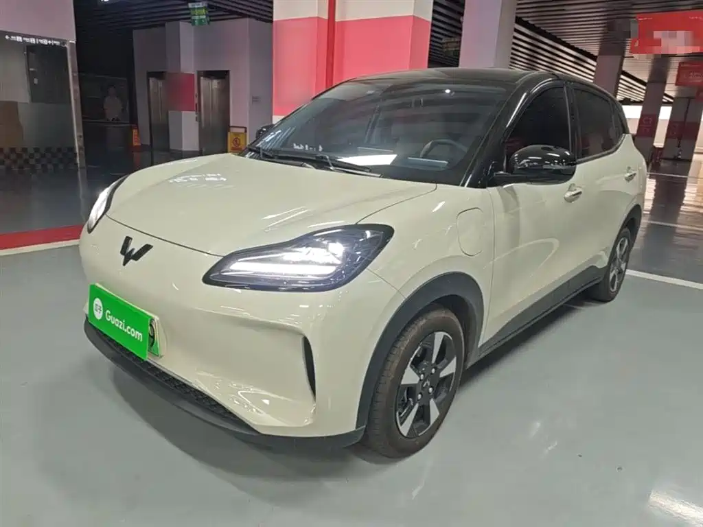 Wuling BinguoPLUS