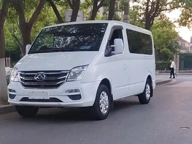 Maxus V80