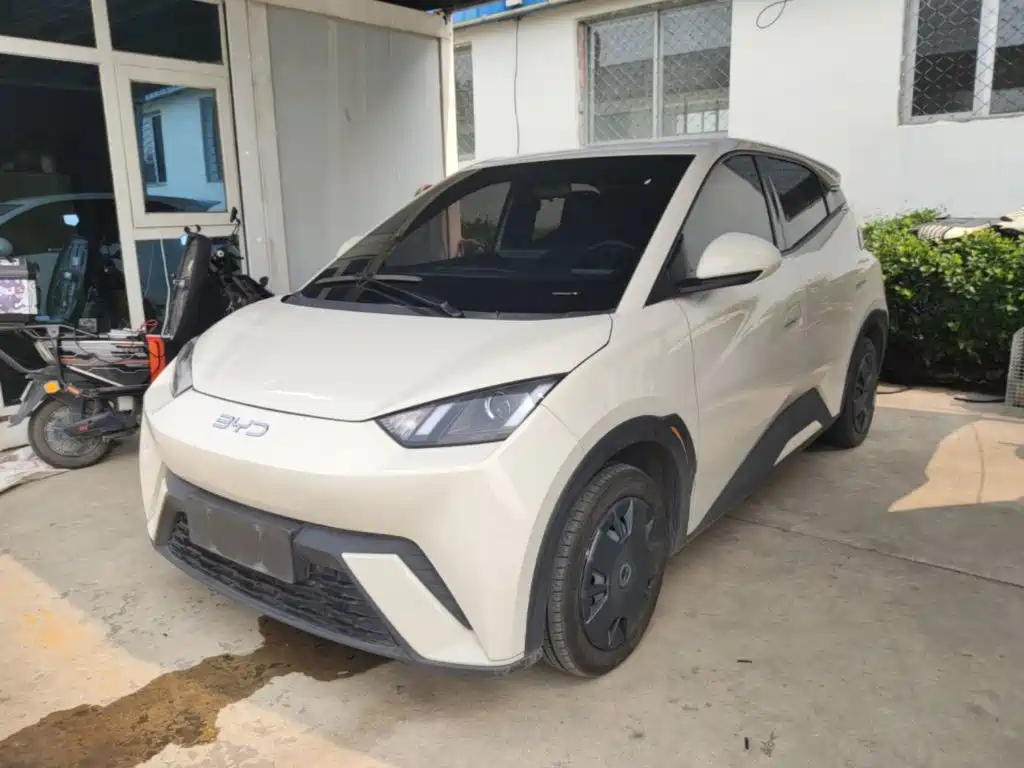 BYD Seagull