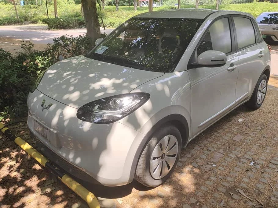 Wuling Binguo