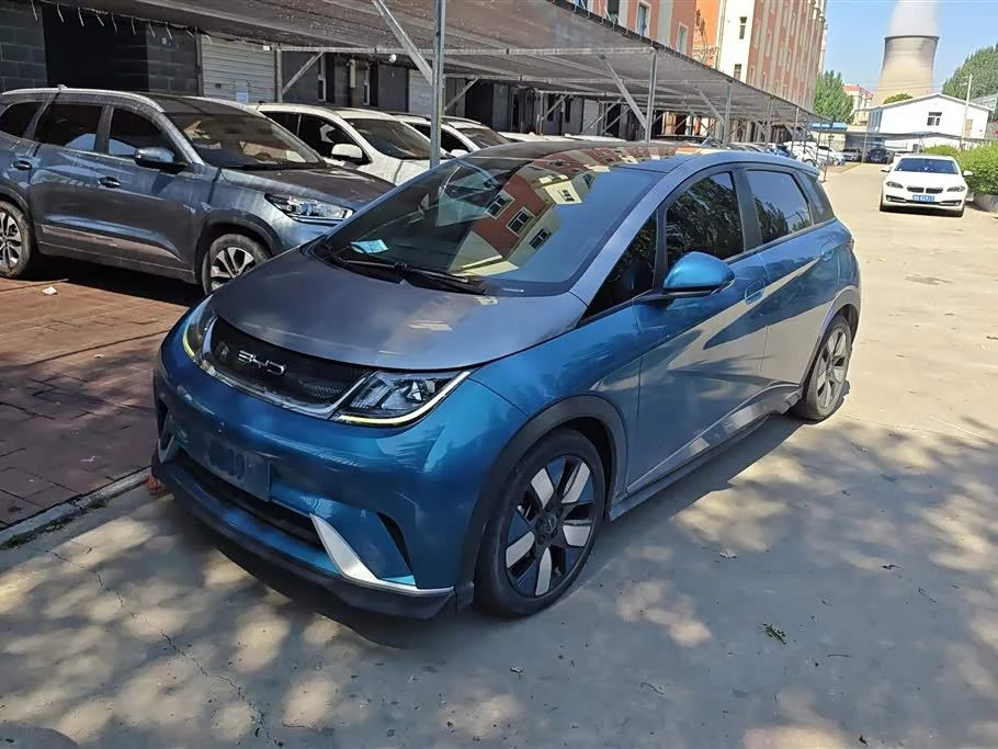 BYD Dolphin