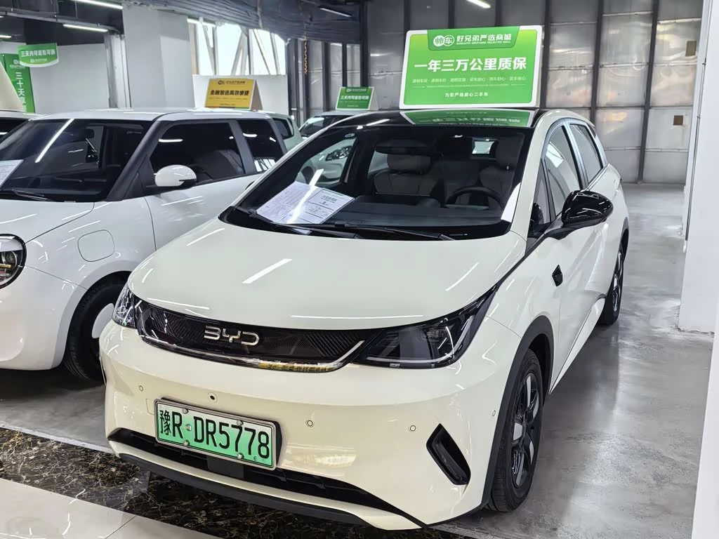 BYD Dolphin
