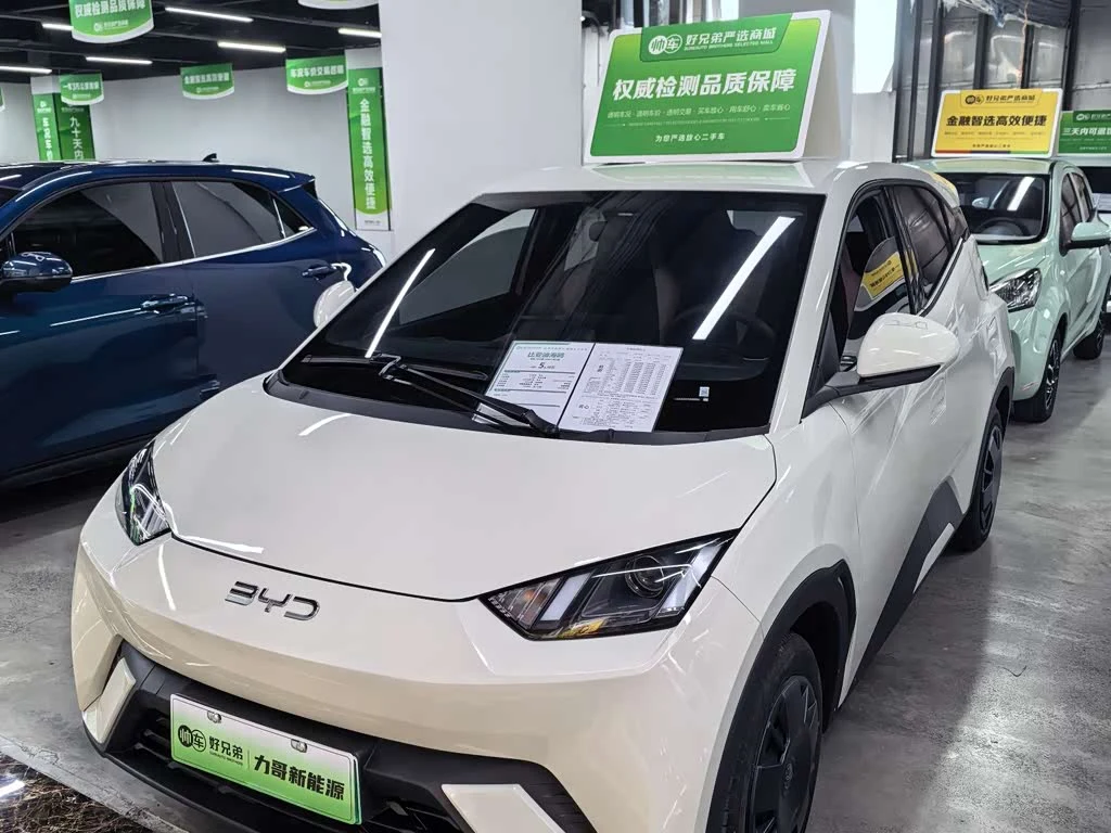 BYD Seagull