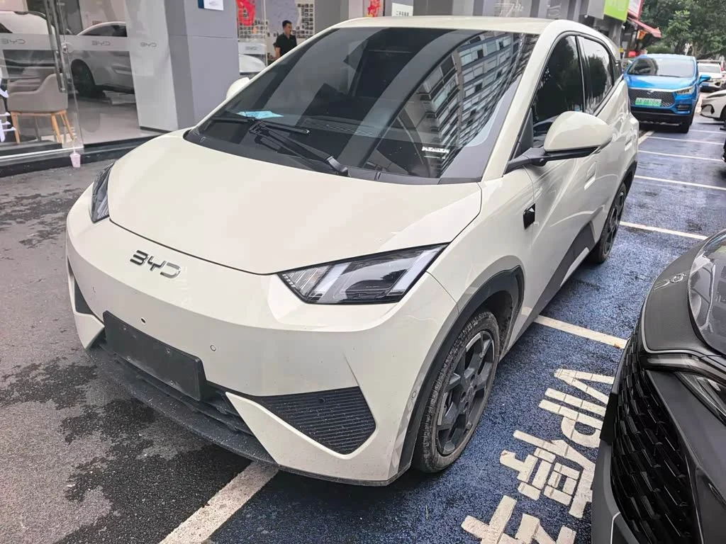BYD Seagull