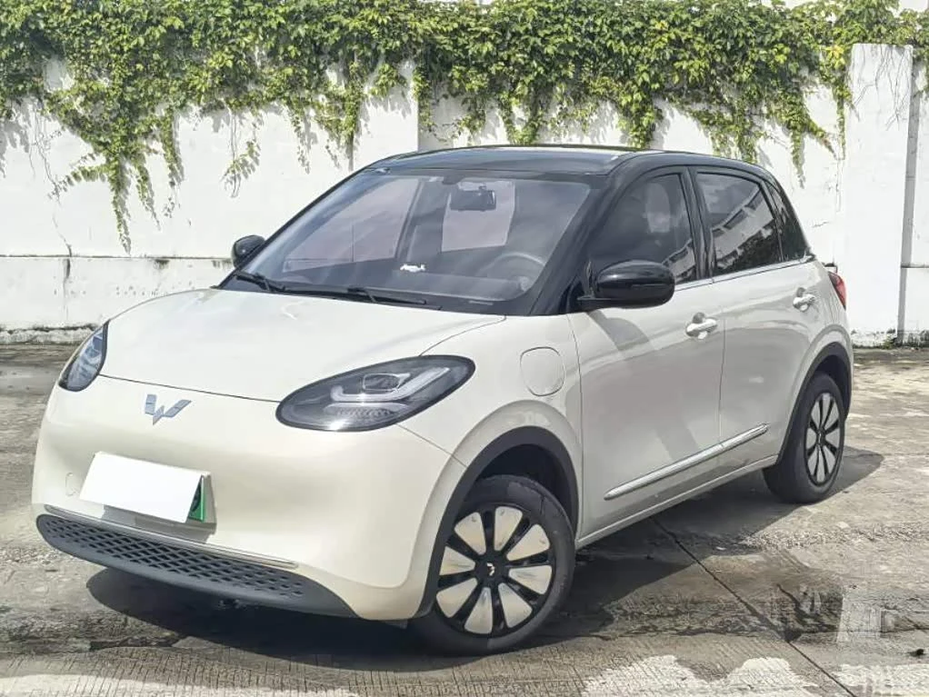 Wuling Binguo