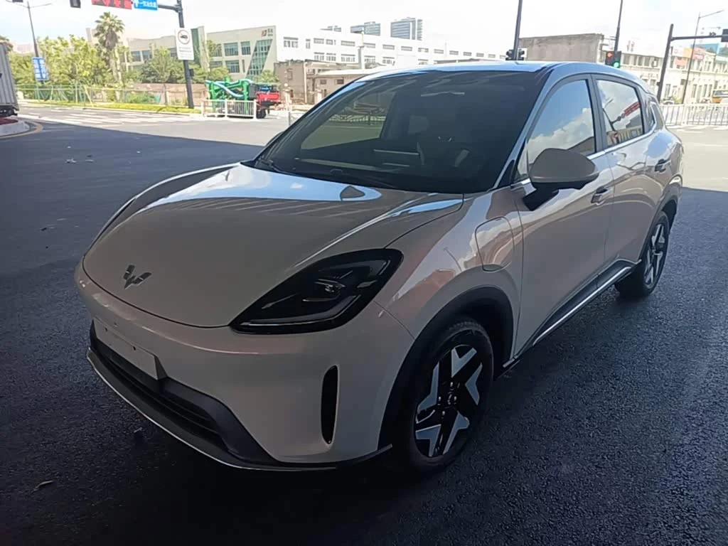 Wuling BinguoS