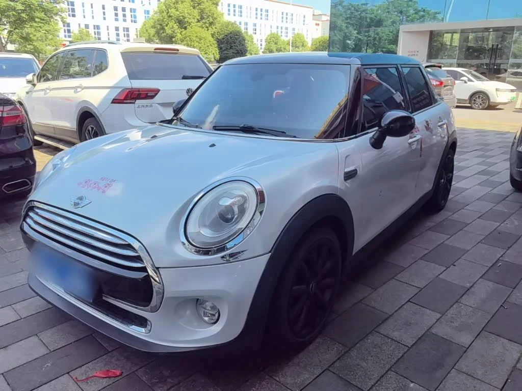 Mini Mini
