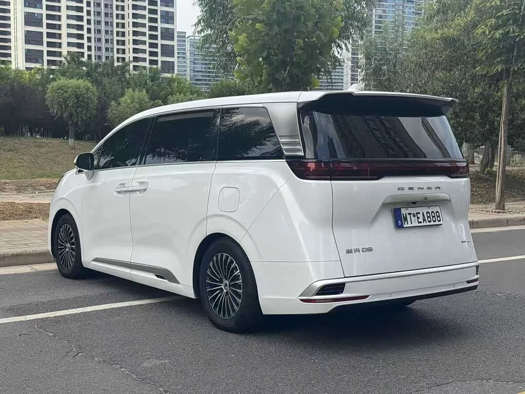 Denza D9
