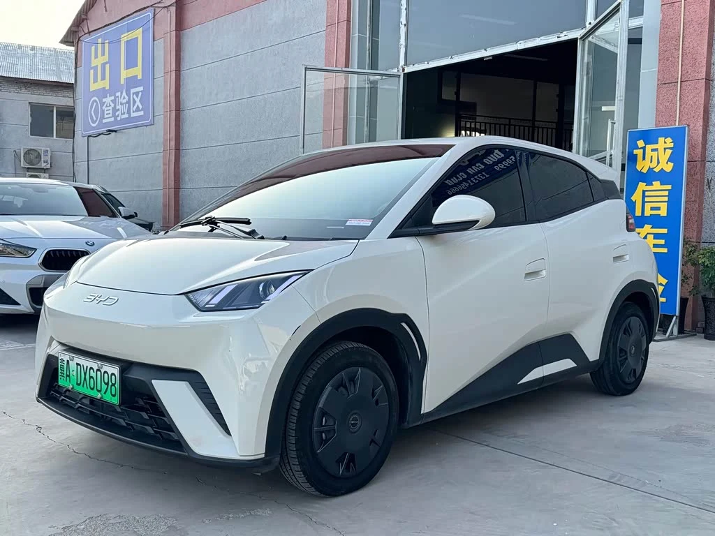BYD Seagull