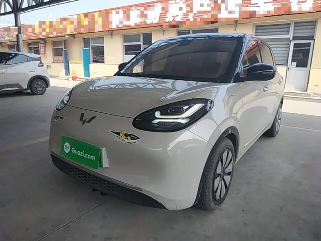 Wuling Binguo