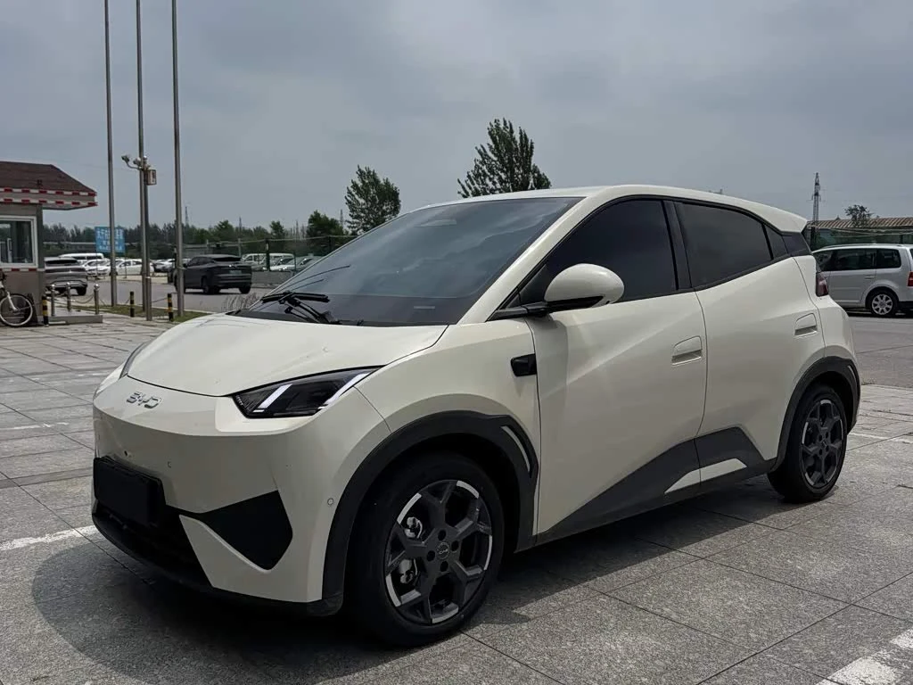 BYD Seagull