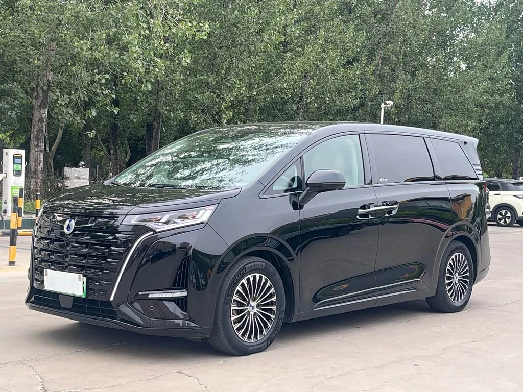Denza D9