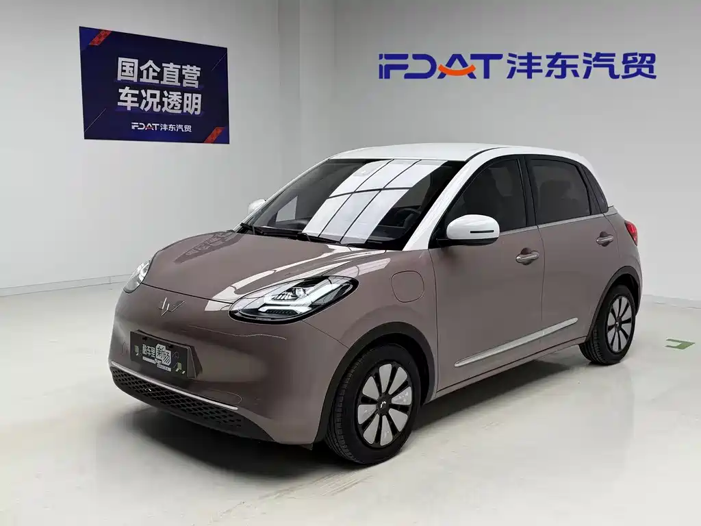 Wuling Binguo