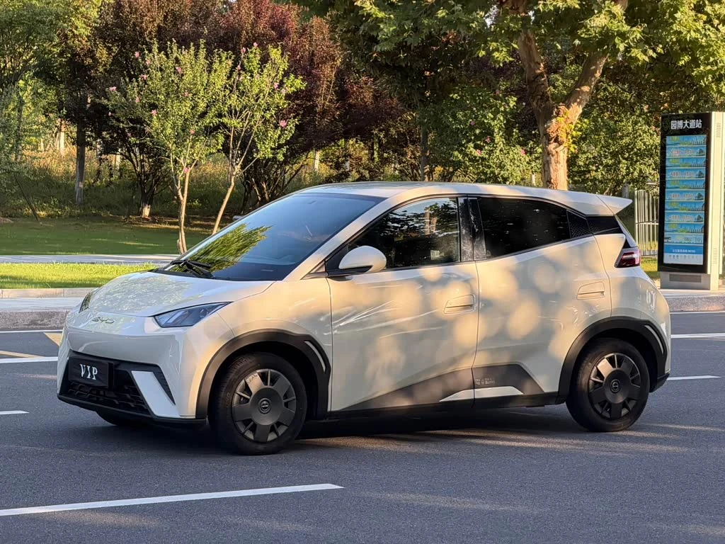 BYD Seagull