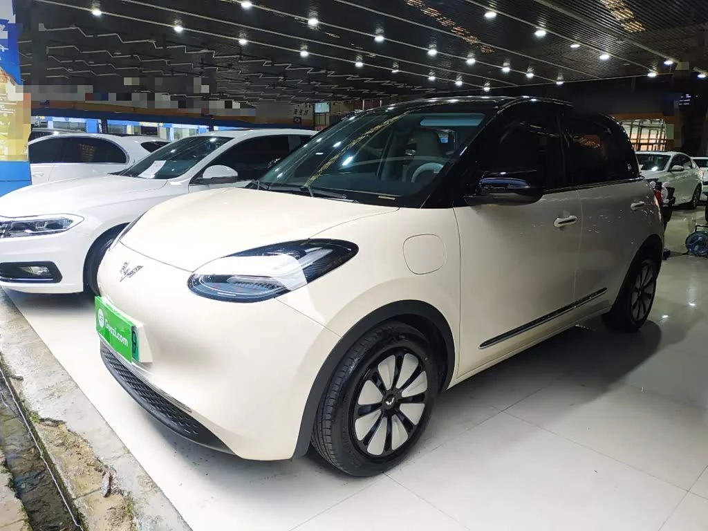 Wuling Binguo
