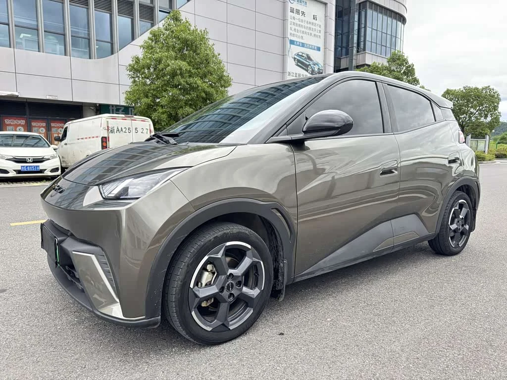 BYD Seagull