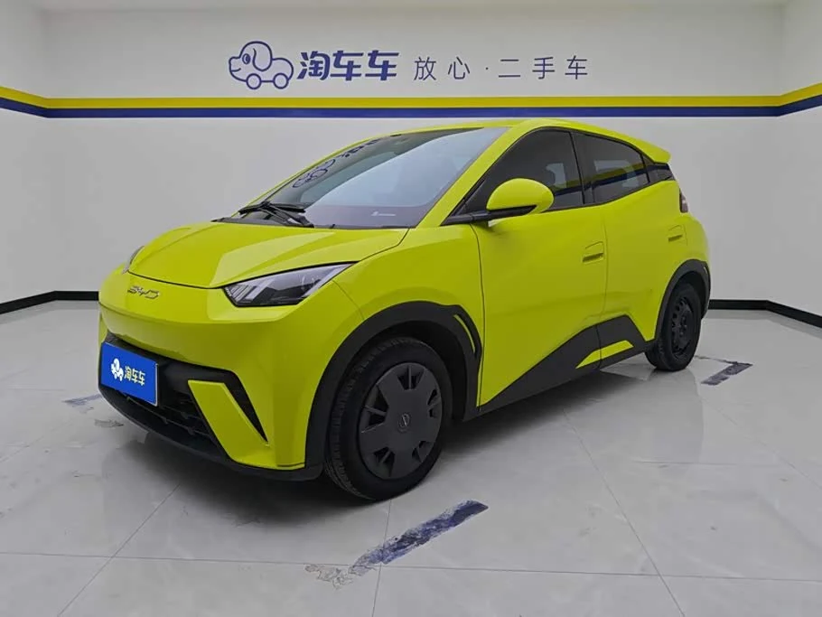 BYD Seagull
