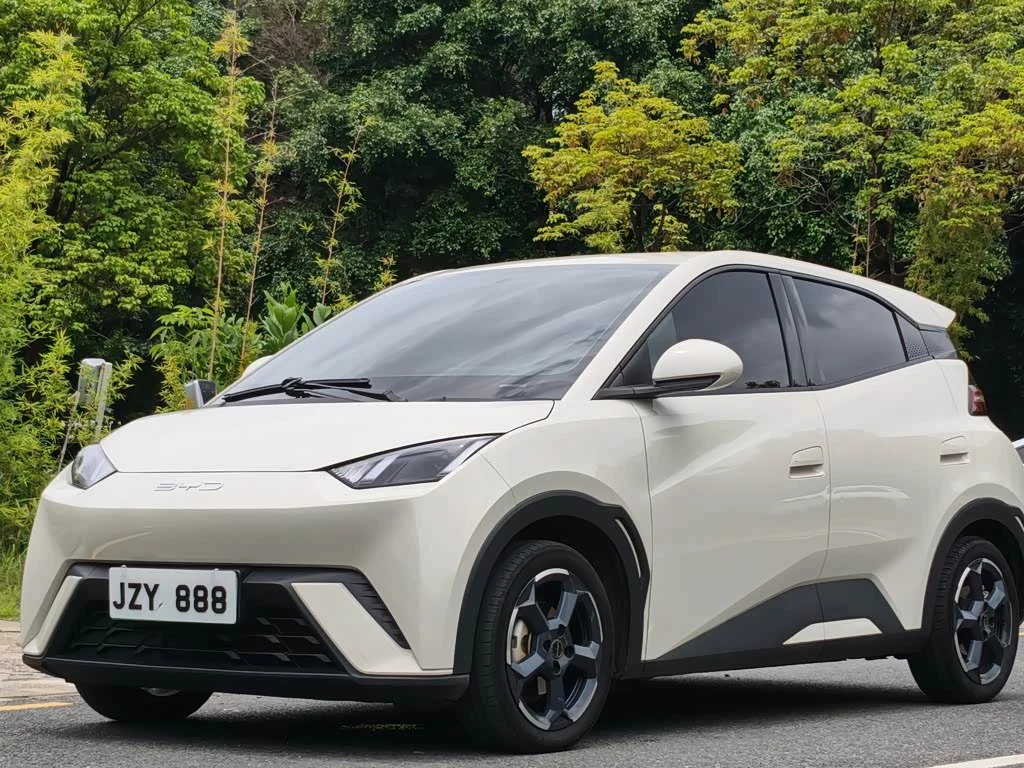 BYD Seagull