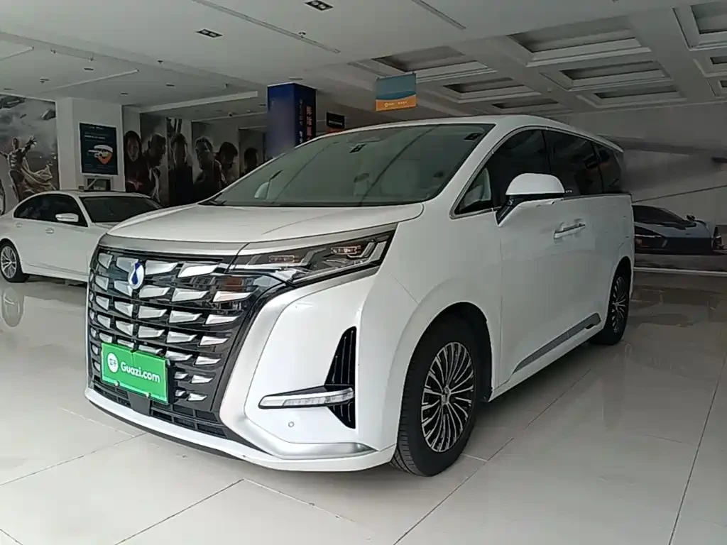 Denza D9