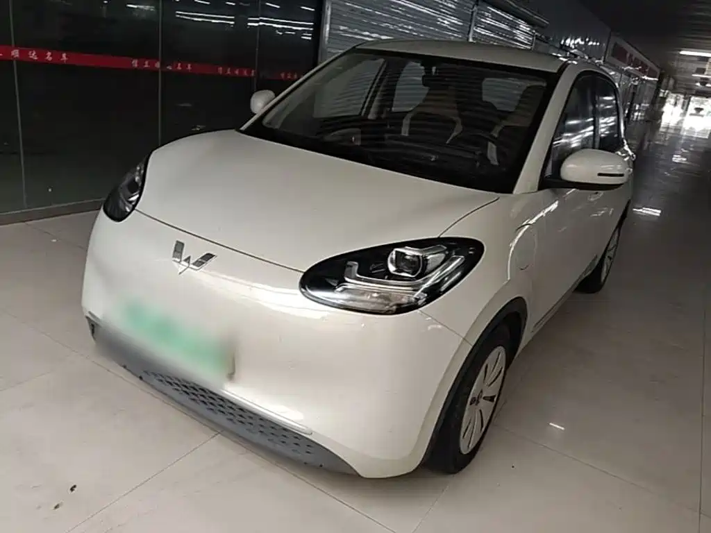 Wuling Binguo