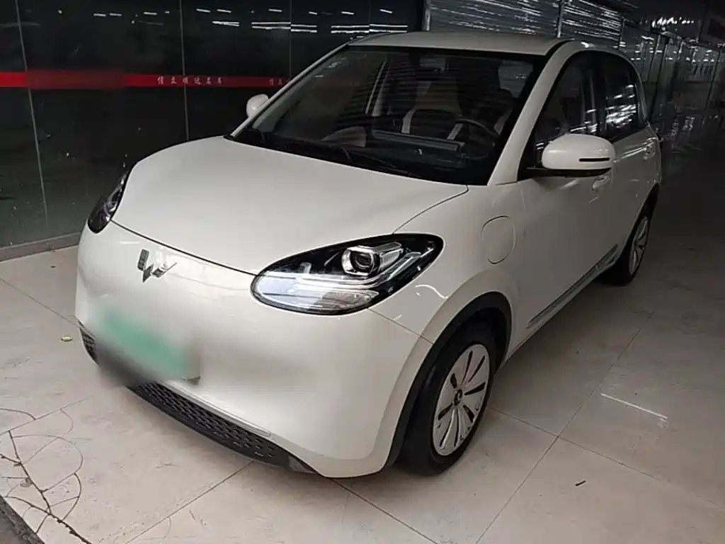 Wuling Binguo
