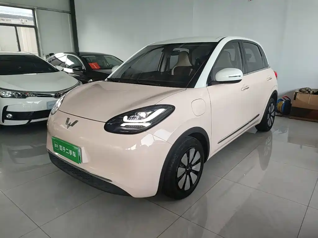 Wuling Binguo