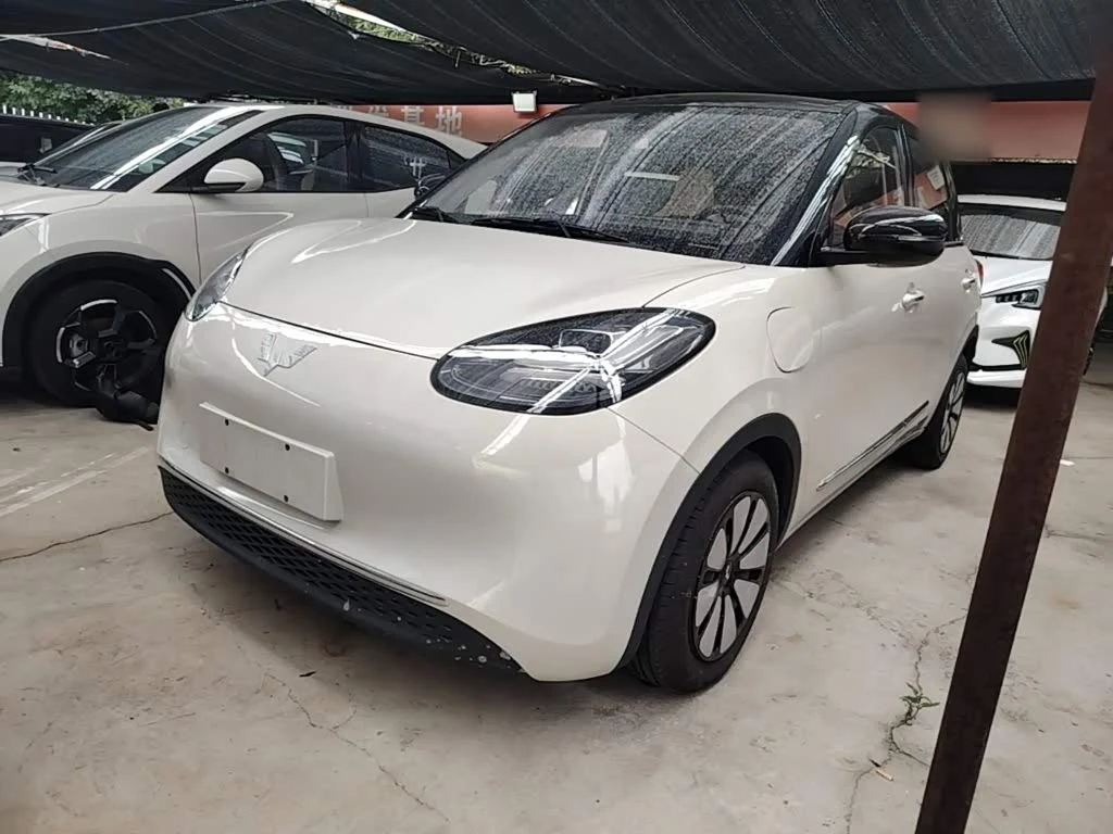 Wuling Binguo