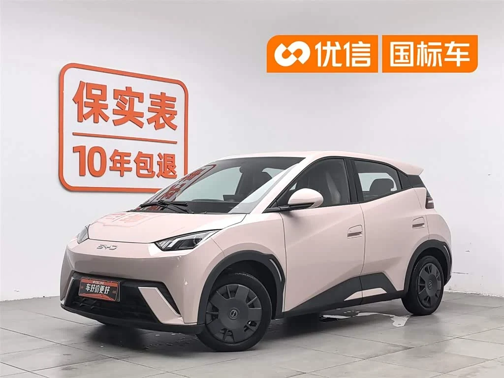 BYD Seagull