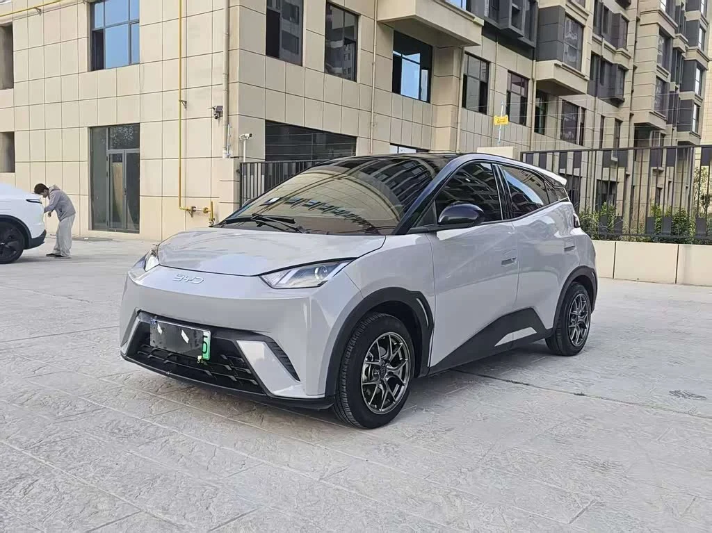 BYD Seagull