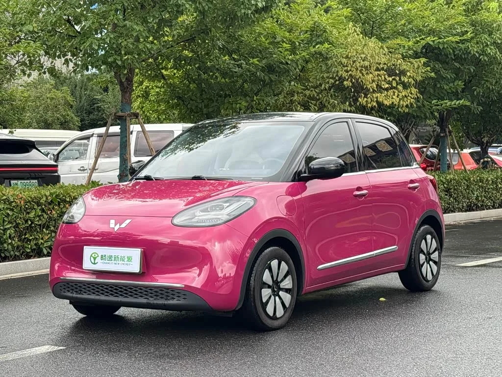 Wuling Binguo